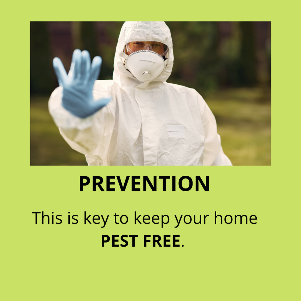 Book Official Pest Prevention Services Pest Exterminating PEST EXTERMINATING