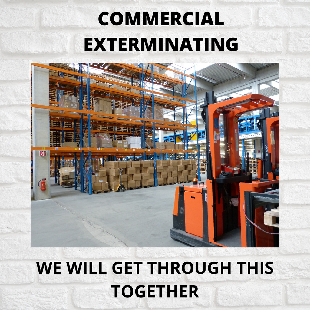 COMMERCIAL EXTERMINATING