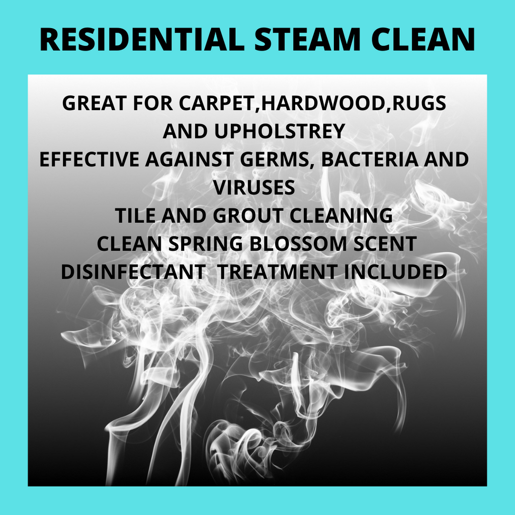 STEAM CLEANING